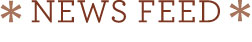 News Feed